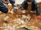 کشف پیکر مطهر یک شهید در طلاییه