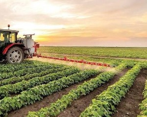 برگزاری یازدهمین کاروان ترویج بهره وری الگوی کشت ملی محصولات زراعی در یزد