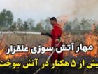 مهار آتش سوزی گسترده در جاده لاکان رشت؛ 5 هکتار اراضی بایر سوخت