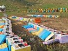 آغاز سرشماری زنبورستان های خراسان جنوبی از دوم آبان
