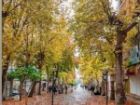 هشدار زرد هواشناسی ایلام؛ بارش های نقطه ای و وزش باد شدید