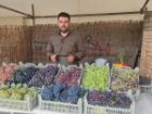 برگزاری جشنواره انگور سیاه در میرآباد با 20 غرفه