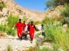نجات جان مصدوم در ارتفاعات قیروکارزین فارس